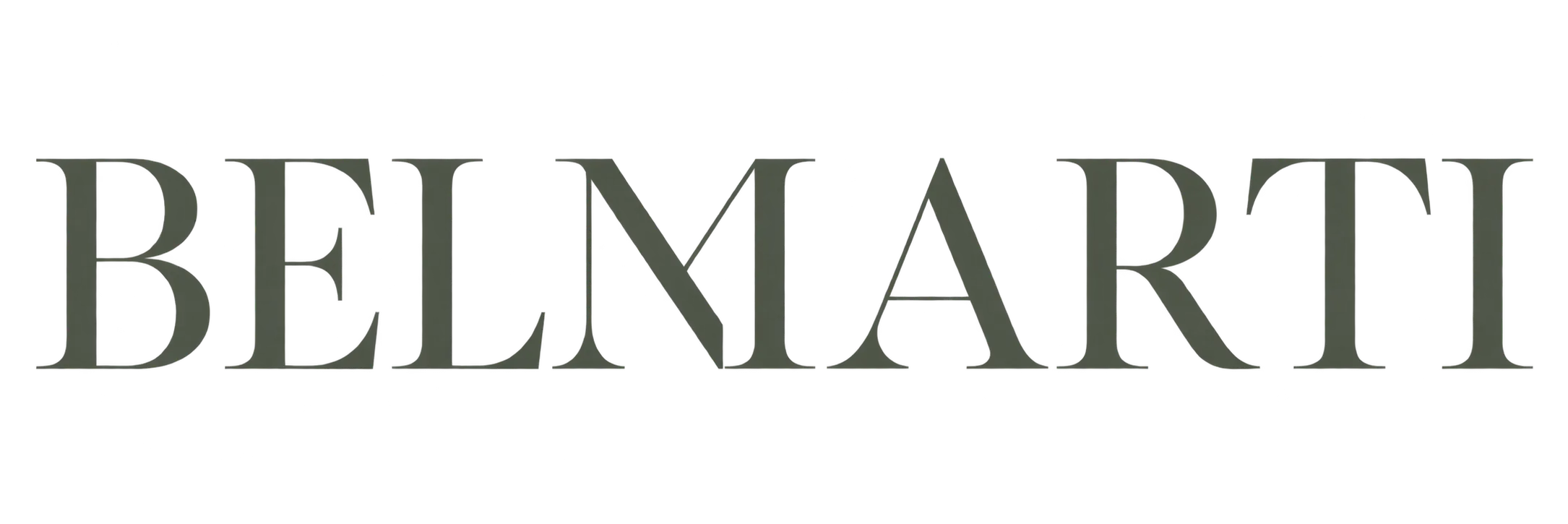 Brlmarti-logo